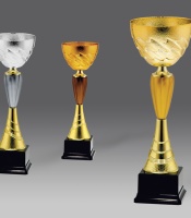 puchary, medale, patery, statuetki - stara kolekcja - model G24195/1