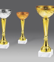 puchary, medale, patery, statuetki - stara kolekcja - model G24543/1