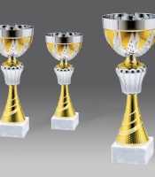 puchary, medale, patery, statuetki - stara kolekcja - model G25285/1