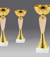 puchary, medale, patery, statuetki - stara kolekcja - model G25531/1