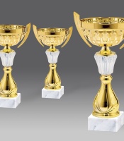 puchary, medale, patery, statuetki - stara kolekcja - model G313055/1