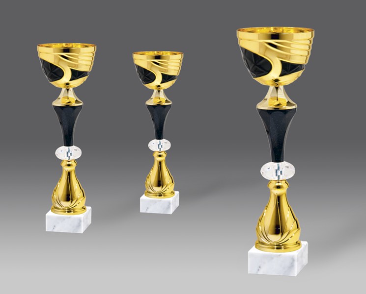 Puchar G39284 3, ø12, h.38 (produkt niedostępny) puchary statuetki medale