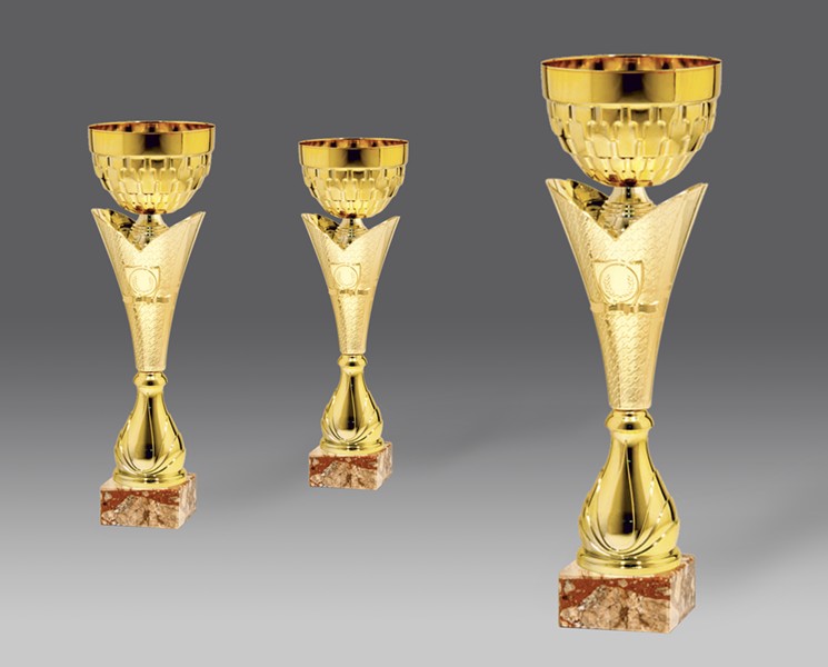 Puchar G39298 3, ø12, h.39 (produkt niedostępny) puchary statuetki medale