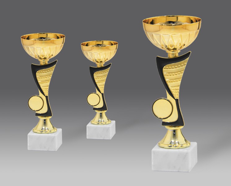 puchar G9545 3, ø8, h.21 (produkt niedostępny) puchary statuetki medale